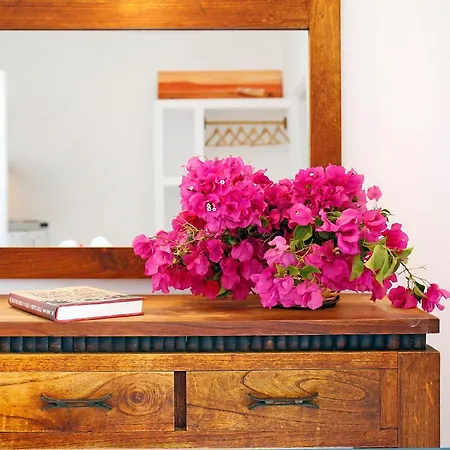 Bed & Breakfast Agistri 5*